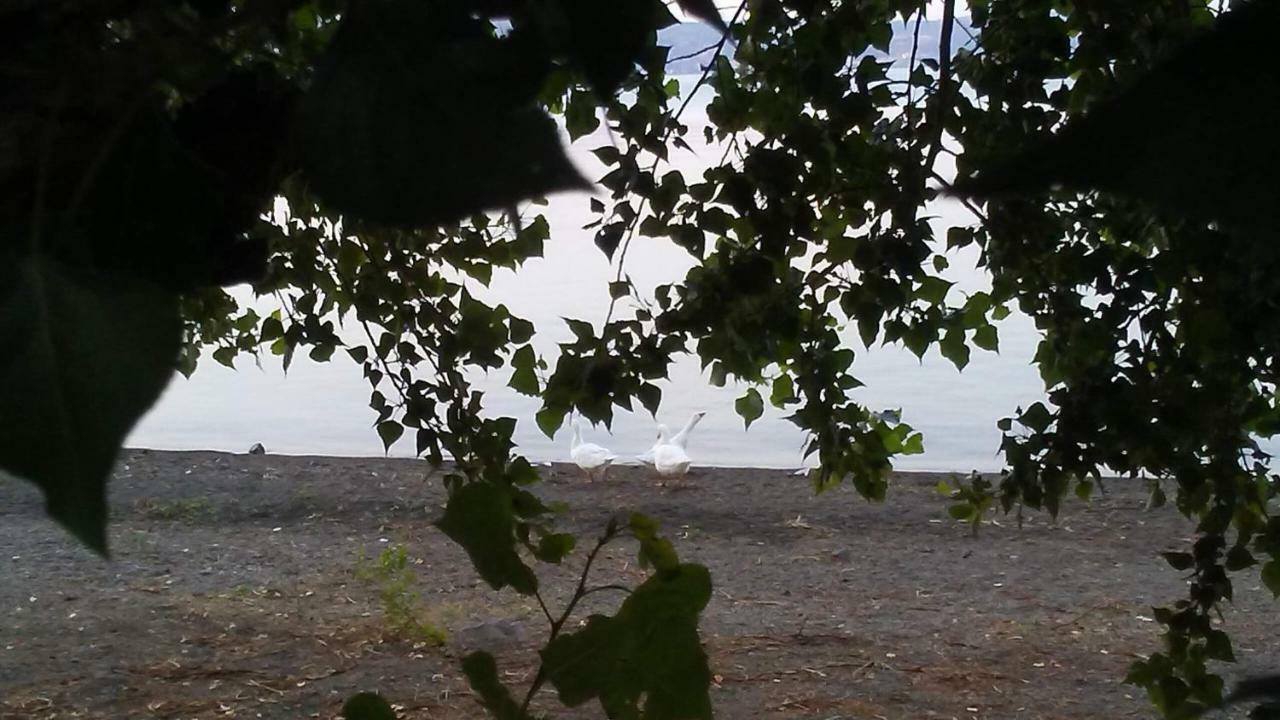 Alloggio Turistico D'Annunzio Bracciano Kültér fotó